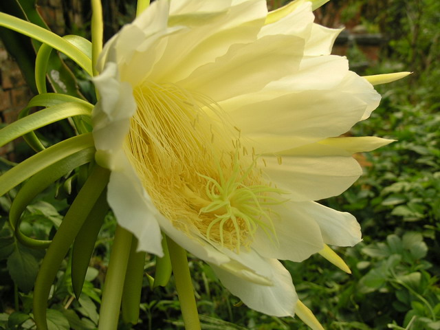 p8142171ae9.jpg