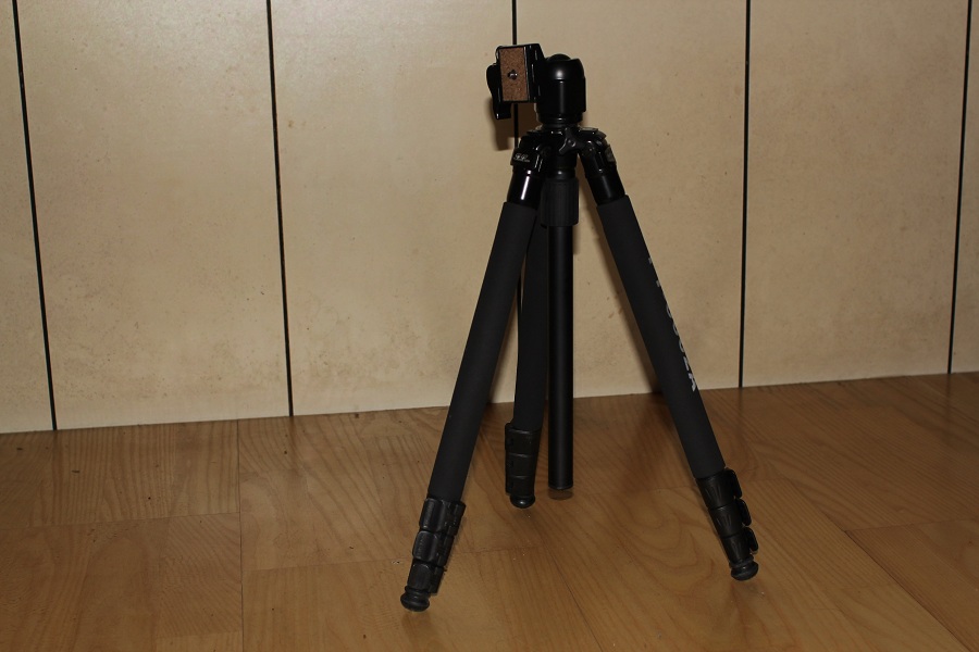 249862908_x.jpg
