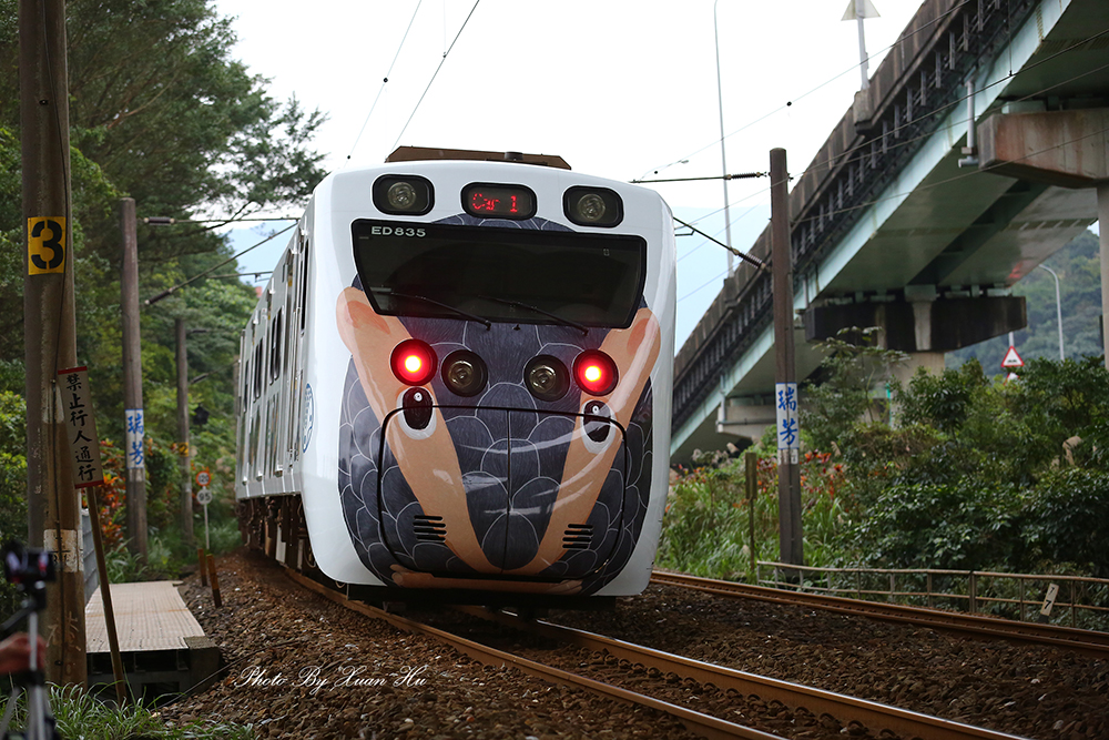SR5D1142c.jpg