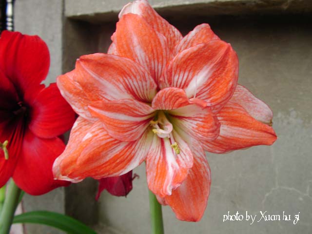 SANY0176拷貝.jpg