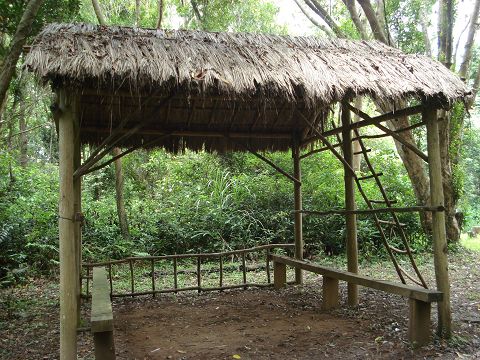 DSC06033.JPG