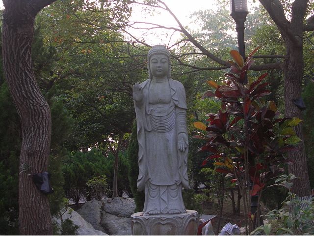 PICT3278.jpg