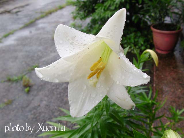 SANY0007拷貝.jpg